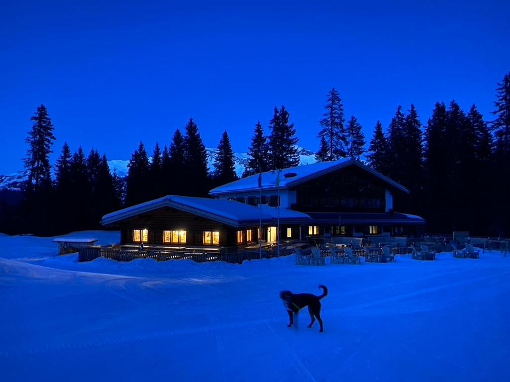 Erezsaesshuette Villa Klosters Exterior photo
